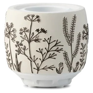 Scentsy Air Dandelion Daze